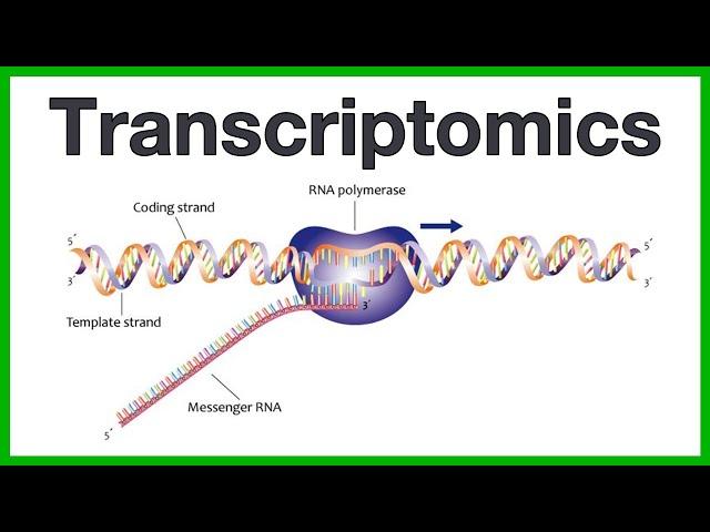 Transcriptomics: A short introduction to the core concepts of microarrays and RNA sequencing