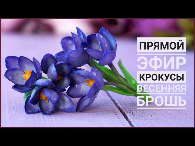 КРОКУСЫ   ВЕСЕННИЕ БРОШКИ  ПРЯМОЙ ЭФИР