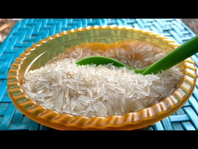 ASMR RAW BASMATI RICE AETING SOUNDS makan beras mentah porsi banyak suapan full