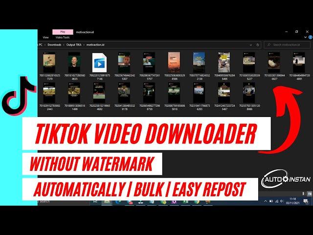 BEST TOOL FOR BULK TIKTOK VIDEO DOWNLOADER WITHOUT WATERMARK