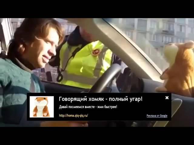 смешное прикольное видео приколы скачать бесплатно 1