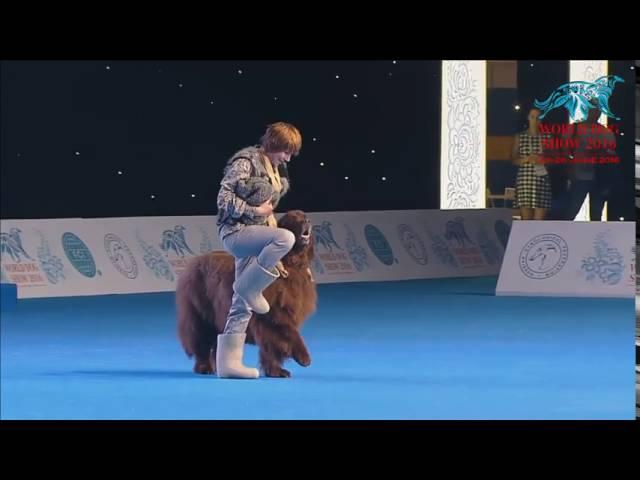 FCI Dog dance World Championship 2016 – Freestyle final  - Marina Novoselova and FUNNYUF (Russia)