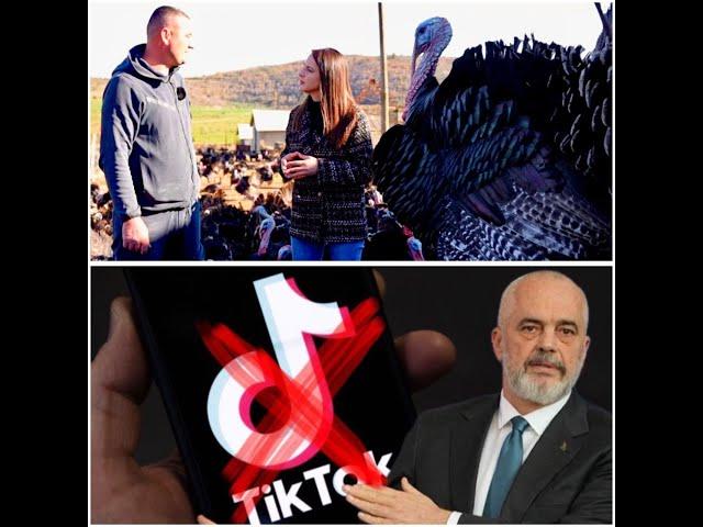 Ka rritur 1400 gjela deti, flet fermeri! Ja si do hapet Tik Tok edhe pas mbylljes…