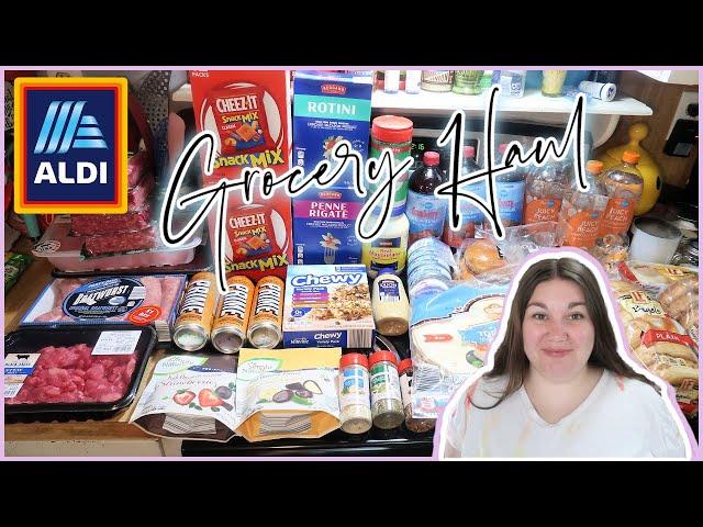 I WENT A LITTLE OVER BUDGET | 1-Week Grocery Haul & Meal Plan | ALDI HAUL