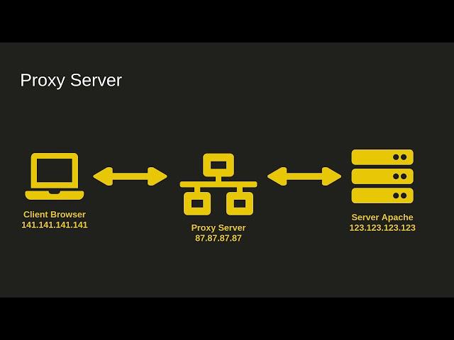 IT-Basics: Proxy Server - Funktion und Aufgaben inkl. Live Beispiel