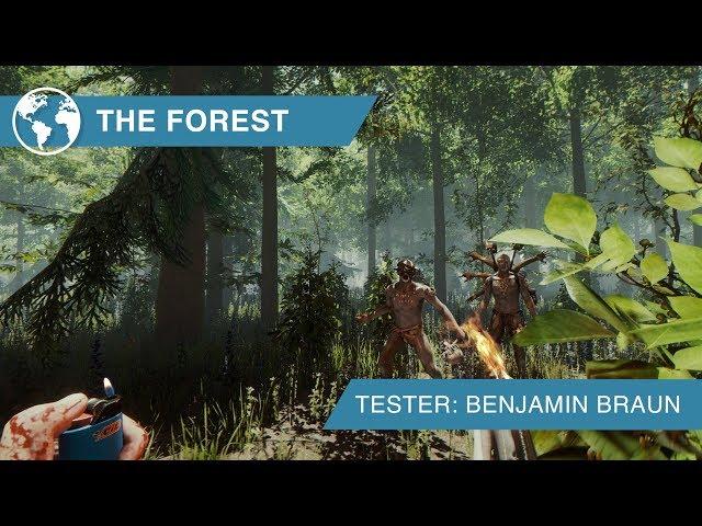 The Forest: Überlebenskampf auf der Kannibaleninsel (Review, German)