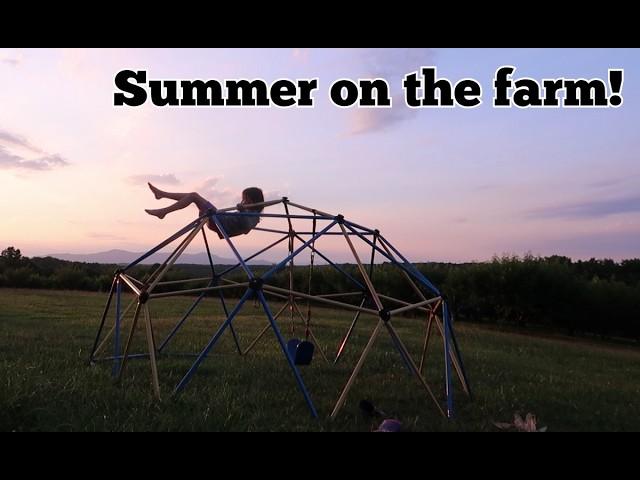 Summertime on the Farm: Lake fun, Plum picking and summer sunsets!