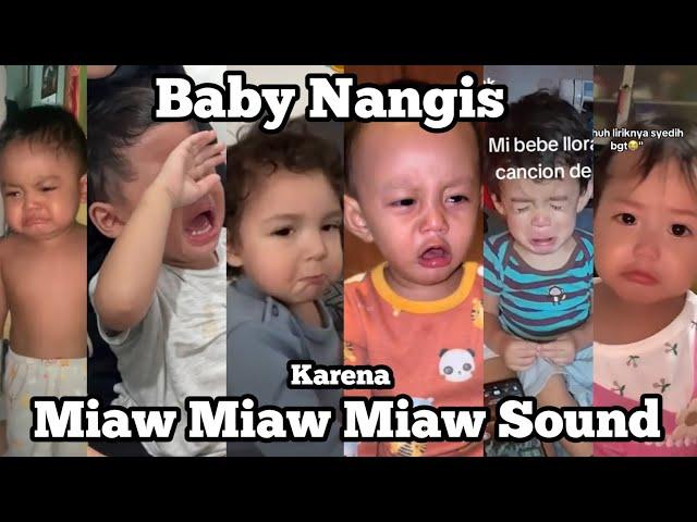 Cat's Life Sound - Miaw Miaw Miaw Baby Cry - Trend Bocil Nangis Miaw Tiktok Compilation
