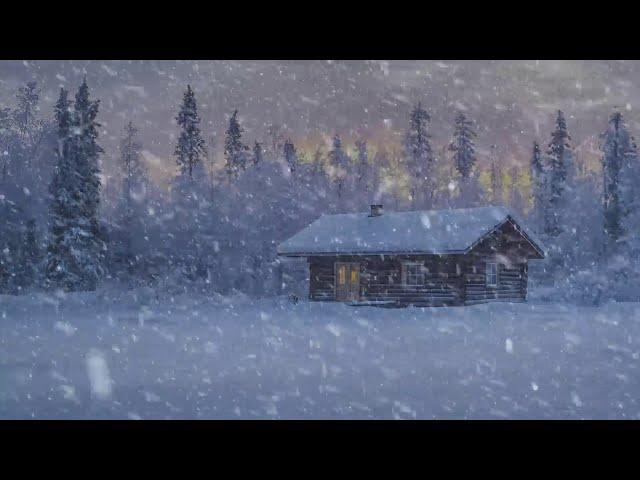 Wind Sounds for Sleeping┇Howling Wind & Blowing Snow┇Winter Storm & Icy Snowstorm Ambience