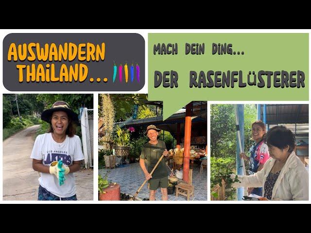 Als Familie nach Thailand auswandern... Rollrasen verlegen... #thailandtravel