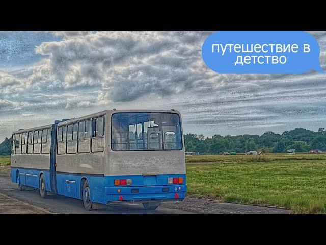 Икарус - автобус нашего детства с коробкой автомат. #ikarus #80е #пионеры