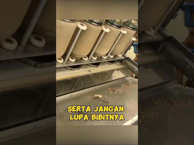 CARA PABRIK MEMBUDUDAYAKAN JAMUR ENOKI #jamur  #shorts  #shortvideo  #shortvideoviral  #viral