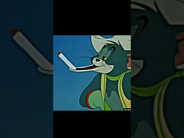 TOM now vs TOM then ️ #tomandjerry #edit