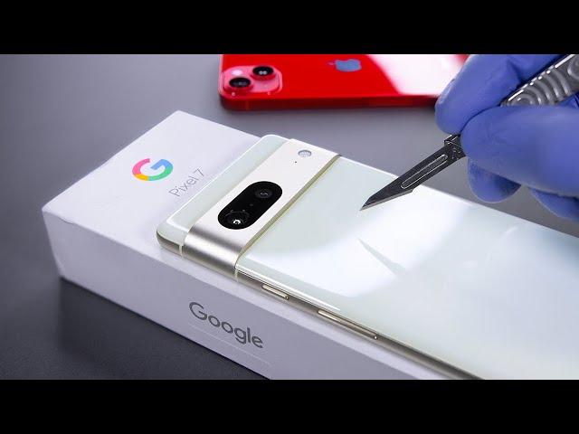 Google Pixel 7 Unboxing and Camera Test! - ASMR