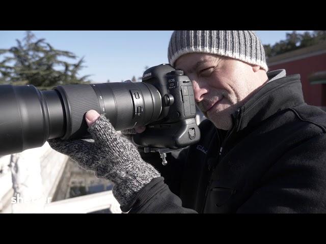 Tamron 100-400 Di VC Product Review