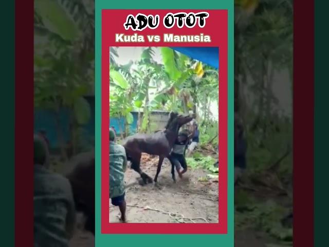 Manusia vs Kuda  #vidiolucuterbaru  #funnyvidionew #feedshorts  @musikuat7719