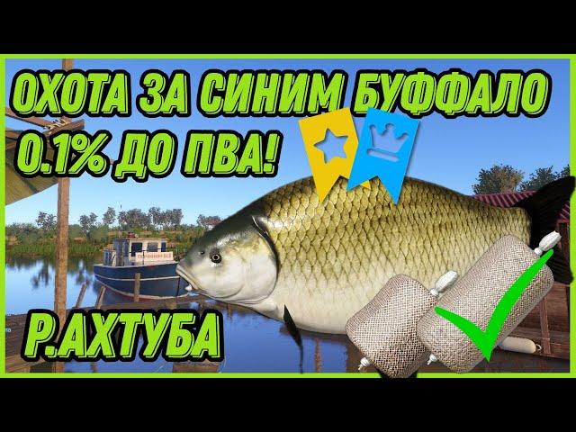 0.1 % ДО ПВА !! ОХОТА НА СИНЕГО БУФФАЛО | Русская Рыбалка 4  [PC 2018]