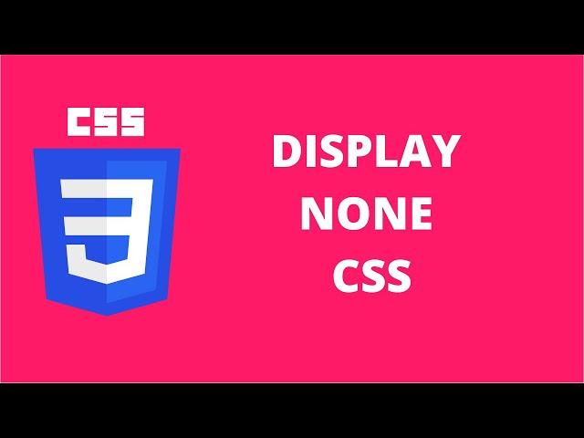 Display None CSS | CSS Tutorial