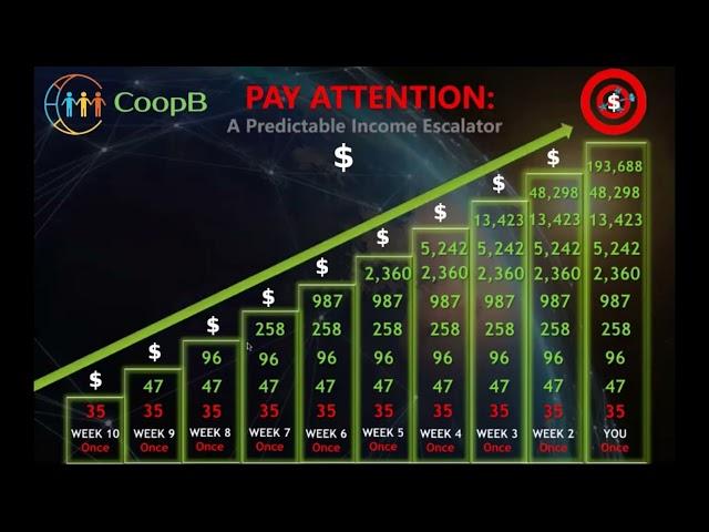 CoopB Income Escalator in 10 Weeks