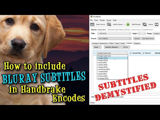 How to include Bluray Subtitles in Handbrake Encodes on Windows