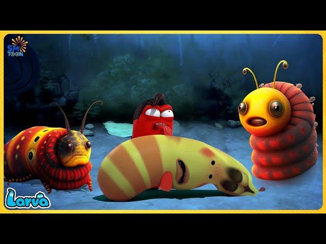 LARVA FULL EPISODE | THE BEST OF FUNNY CARTOON | CARTOONS MOVIES NEW VERSION | TRY NOT TO LAUGH