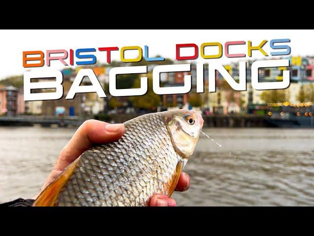 Bristol Docks Bagging!