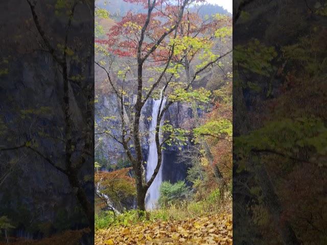 Waterfalls (Kegon waterfalls_Japan) #travel #trending #nature#ilovejapanese