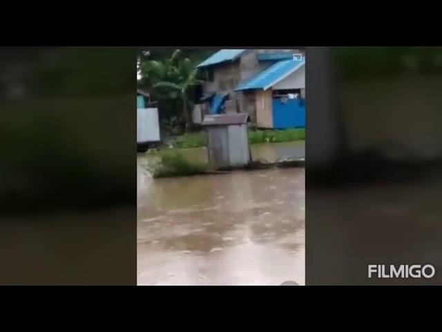 EFFECT OF FLOOD IN MALAYSIA AND BRUNEI VIRAL (73)