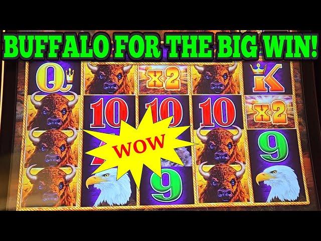 WOW! BIG BUFFALO LINE HIT on BUFFALO LINK SLOT | Las Vegas Slots #casino #slots #lasvegas #gambling