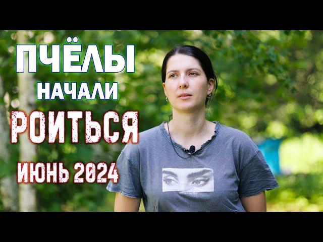 ЗАМЕНА МАТОК 2024, ПОЛОВИНА ПАСЕКИ РОИТСЯ! МЫ СНОВА ОПОЗДАЛИ...