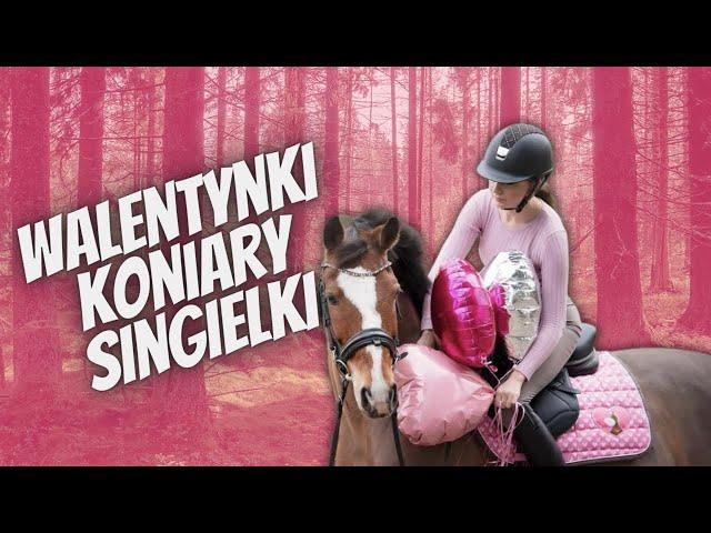 DAILY VLOG | WALENTYNKI KONIARY SINGIELKI XD