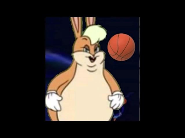 Lola bunny evolution