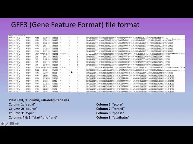 Bioinformatics Lecture15: Genome Annotation: Genetic Element Prediction