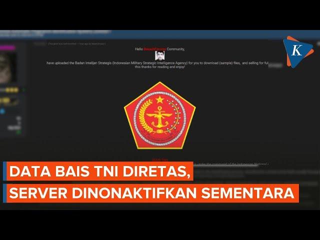 Data Intelejen TNI Diretas, Ada Kekhawatiran Bocornya Hal Teknis