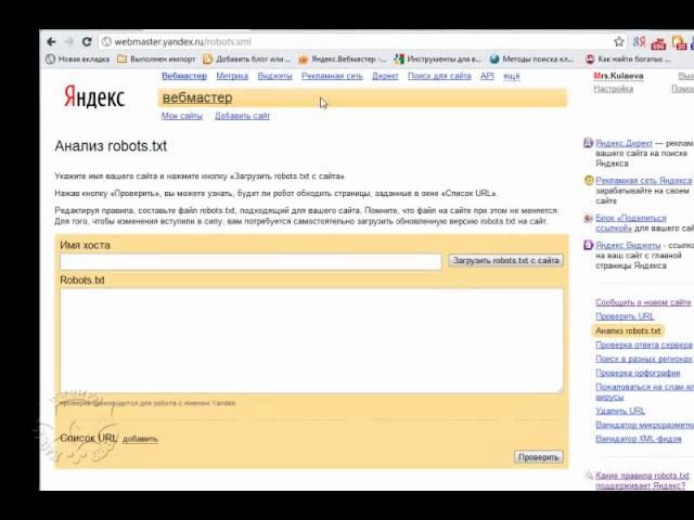 Правила для роботов: анализ файла robots.txt