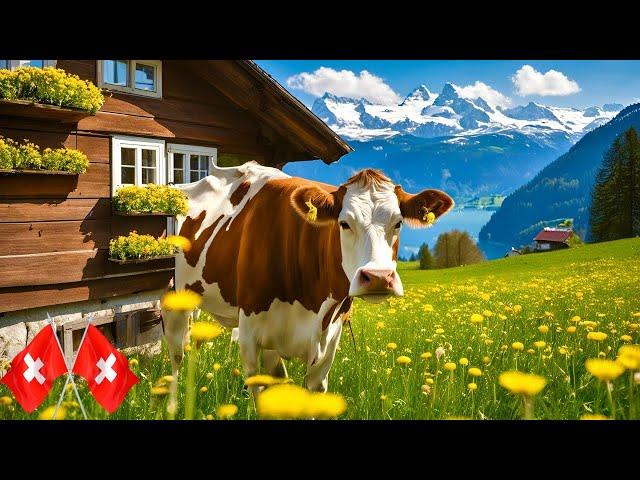 Switzerland CountrysidePicturesque Swiss Village Lungern Walking Tour