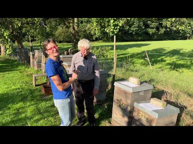 Live von Pias Bienenstand - 27.08.2024 - Gerhards Milbenvölker