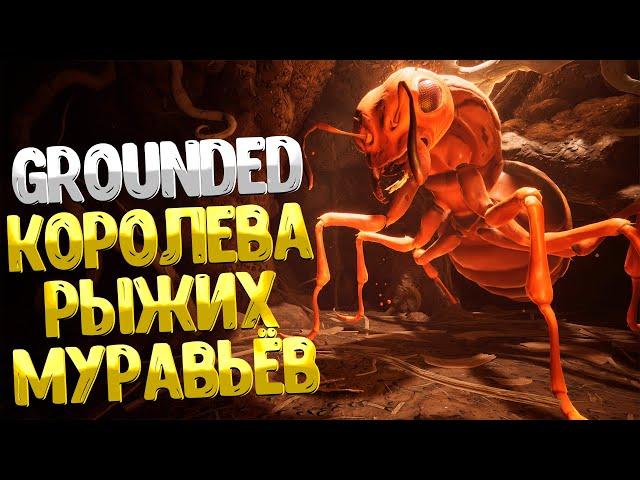 Grounded  КОРОЛЕВА РЫЖИХ МУРАВЬЁВ / ГДЕ НАЙТИ РЕЦЕПТЫ УГОЩЕНИЙ ДЛЯ КОРОЛЕВЫ / КОРОЛЕВСКАЯ ДИЛЕММА