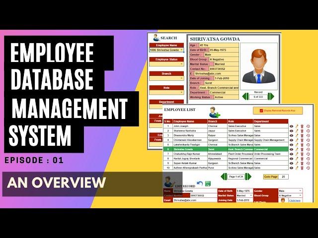 01 - EMPLOYEE DATABASE MANAGEMENT SYSTEM | LAZINESS AND EXCEL