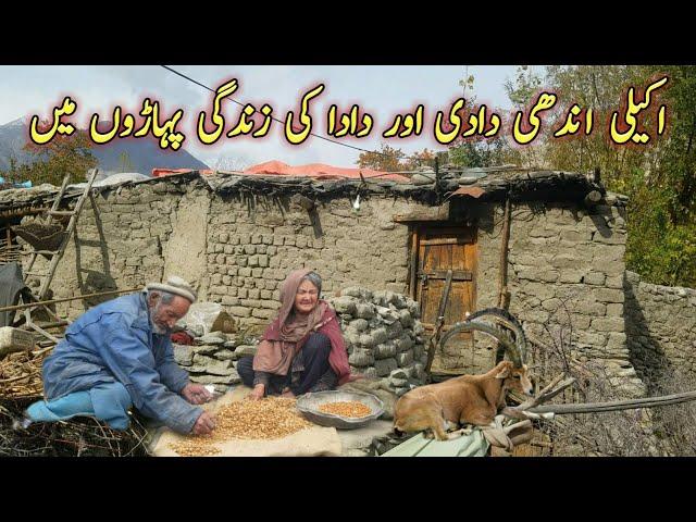 Old Blind Couple Living Alone On The Top Of Mountains in Pakistan | Siachen| Gilgit Baltistan