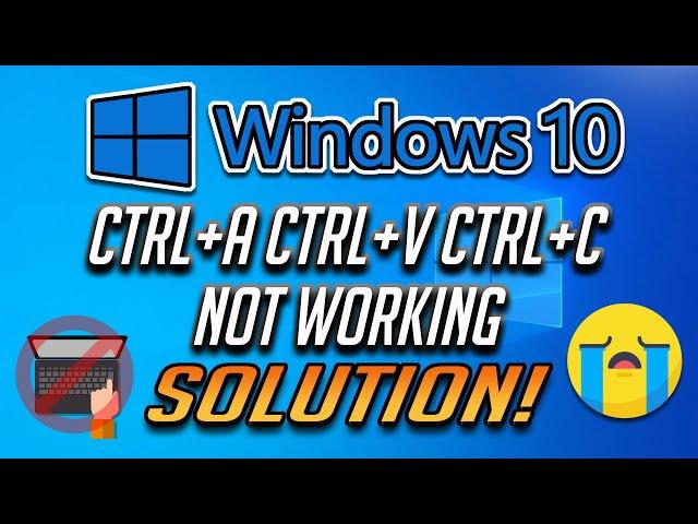 Ctrl+A CTRL+C and CTRL+V Not Working in Windows 10 [3 Solutions]