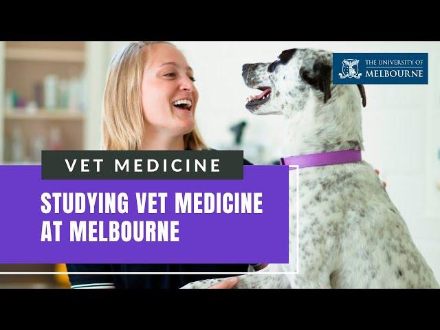 University of Melbourne: Learn More About the AVMA-accredited DVM