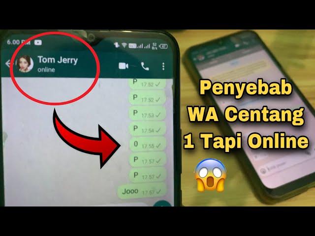 Penyebab WA Centang 1 Tapi Online Kenapa ?? Tonton Ini