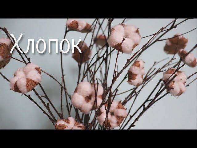 Как сделать цветок хлопок своими руками | Коробочка хлопка на ветке | Vika Line