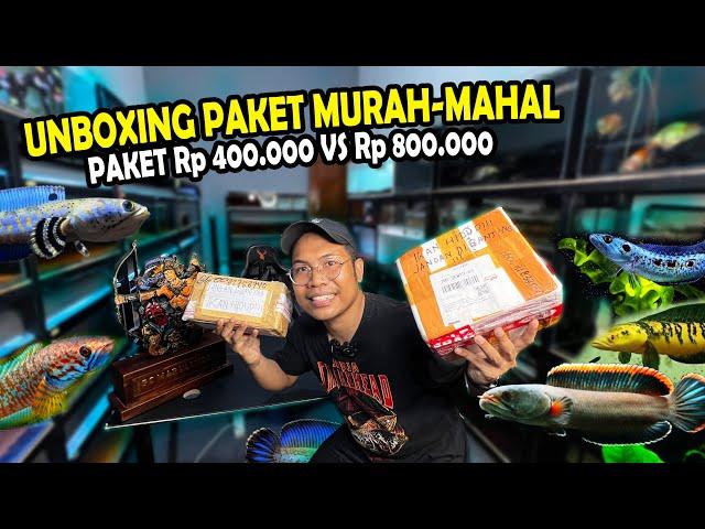 UNBOXING!! PAKET CHANNA Rp 400.000 VS PAKET Rp 800.000?