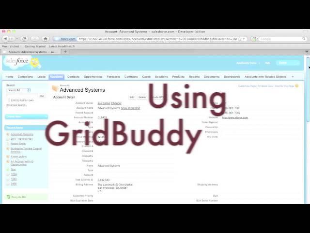 Editable Related Lists in Salesforce Using GridBuddy