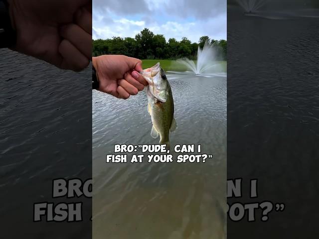 NO‼️ #fishing #bassfishing #bass #fishinglife #fishingshorts #fishingvideo #sportfishing #fisherman