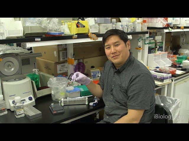 Next Generation Sequencing 3: Purifying DNA Samples with Magnetic Beads - Eric Chow (UCSF)