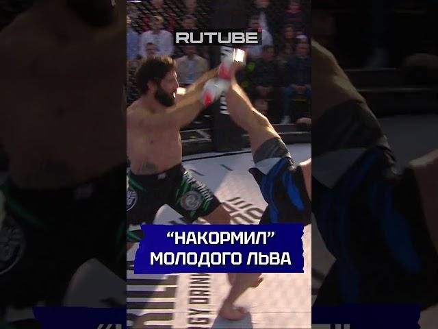  Хачатрян накормил молодого льва! Жесткий бой на Наше Дело!  #нашедело #mma #бой