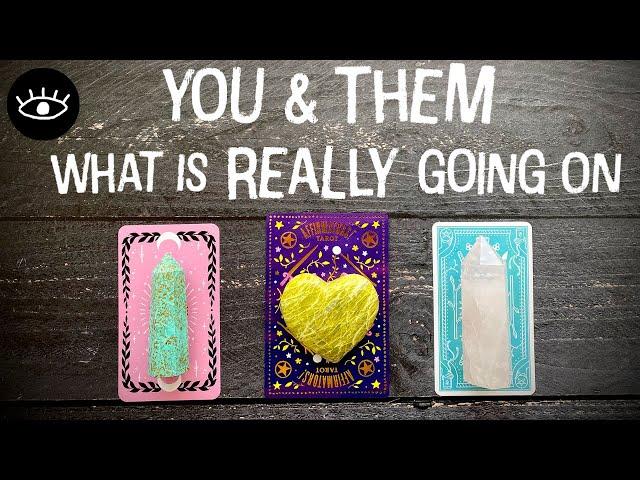  You & Them The TRUTH of this RELATIONSHIP   Pick a Card Love Soulmate Twin Flame Tarot